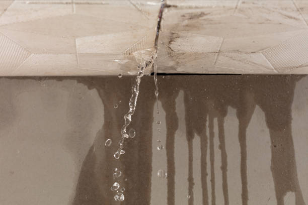Professional Water Damage Repair technician working in Albany, OH